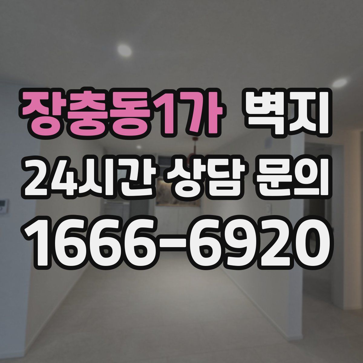 장충동1가 벽지
