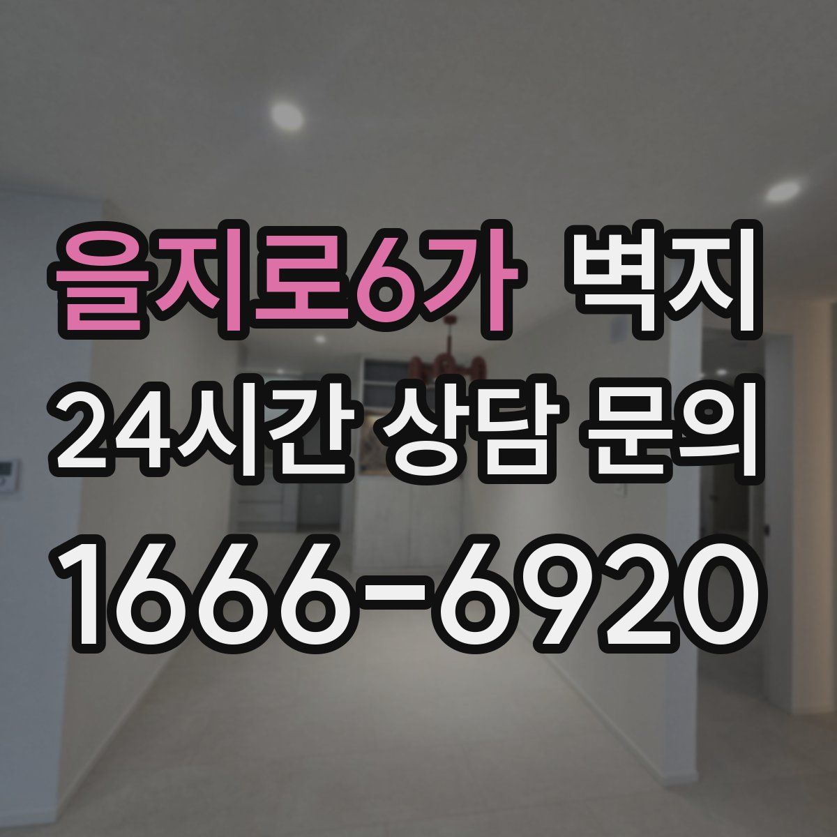 을지로6가 벽지