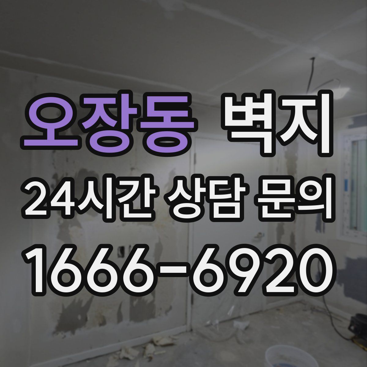 오장동 벽지