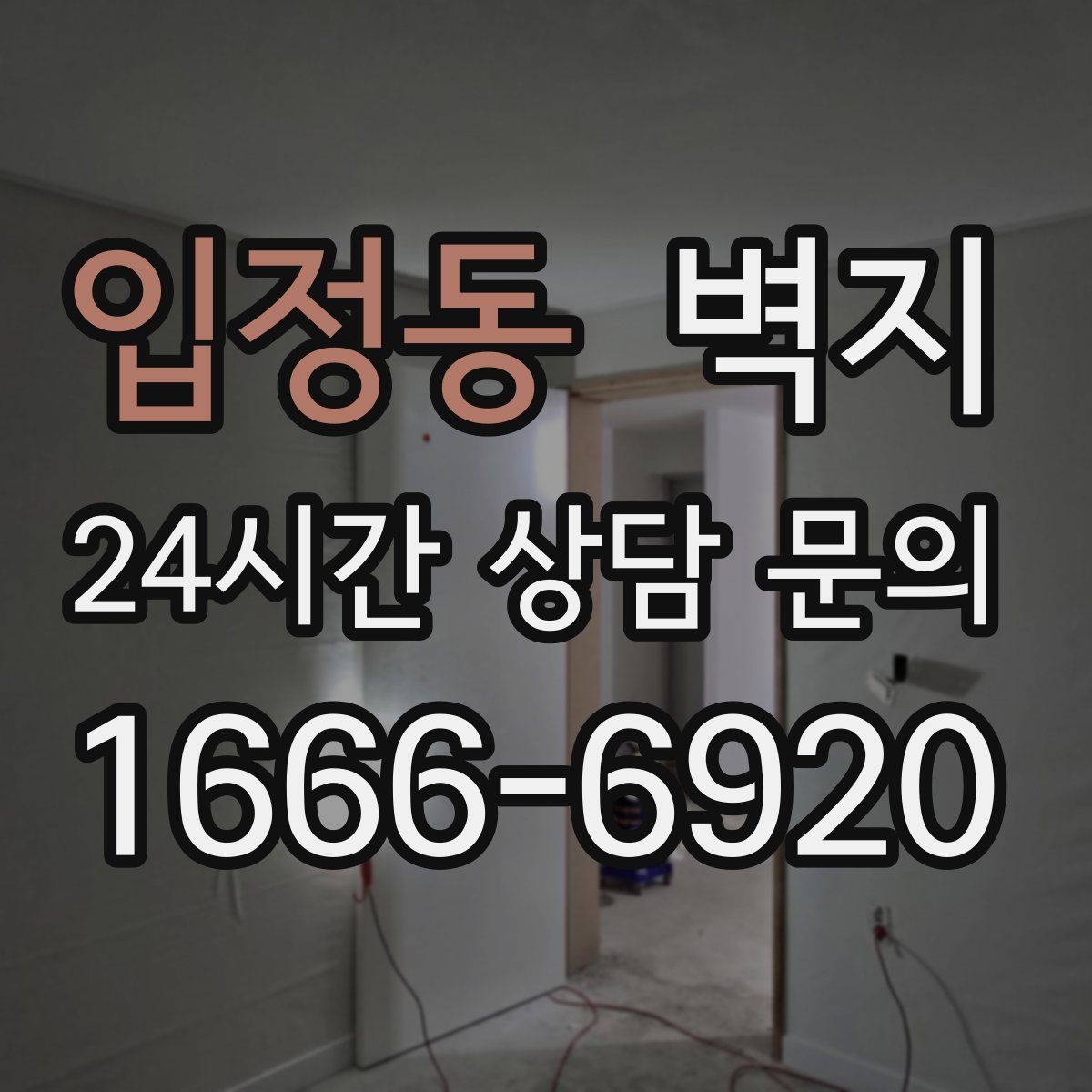 입정동 벽지