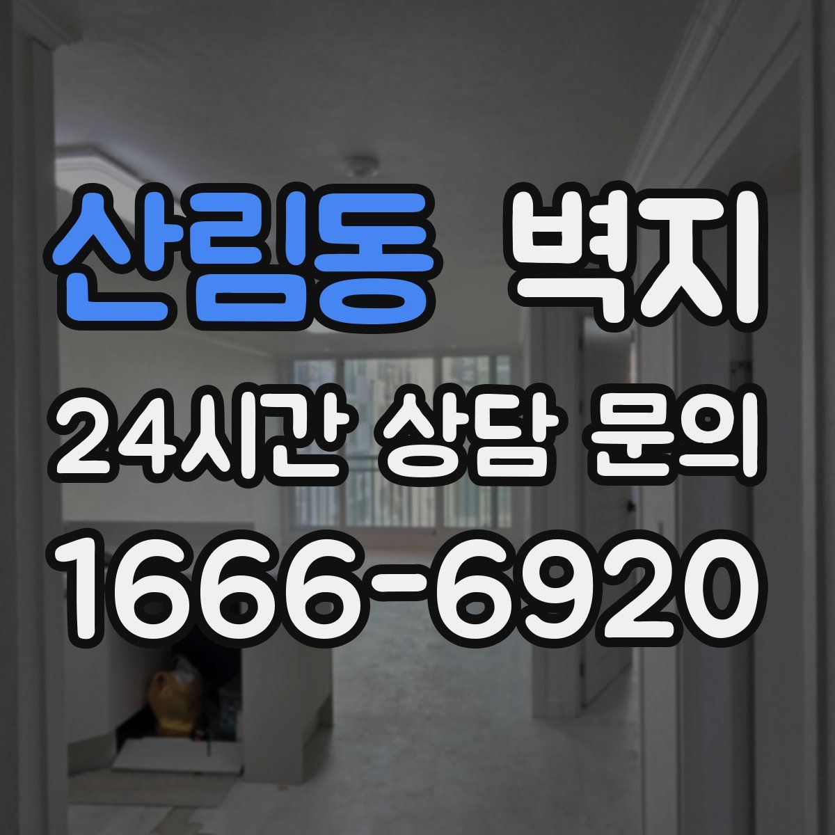 산림동 벽지