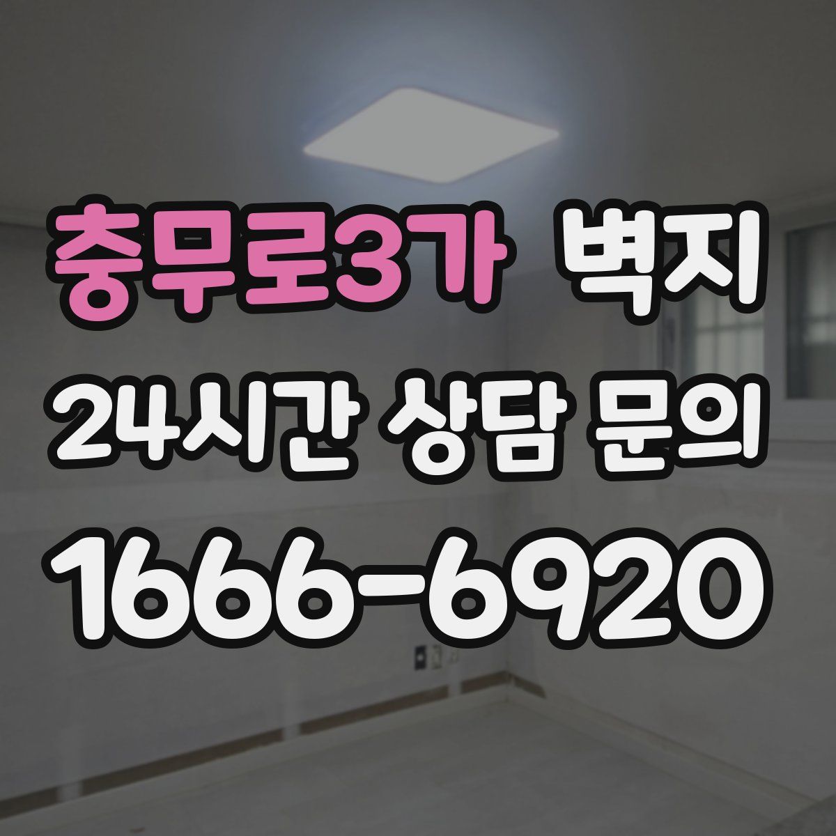충무로3가 벽지