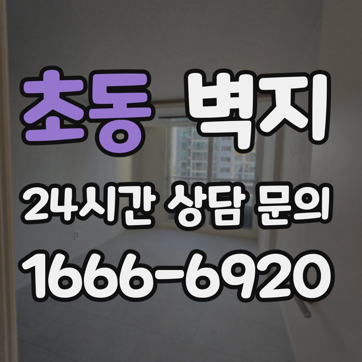 초동 벽지