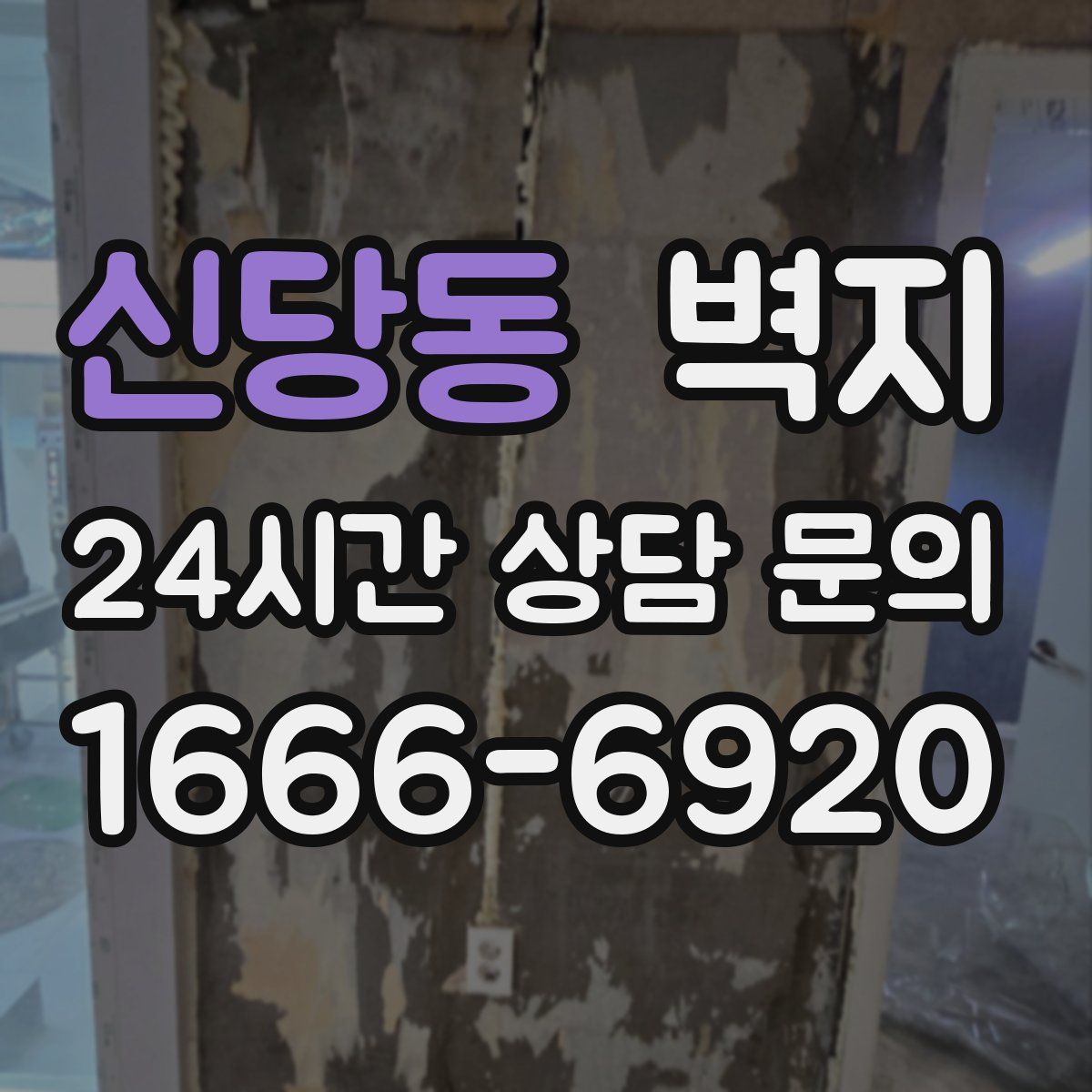 신당동 벽지
