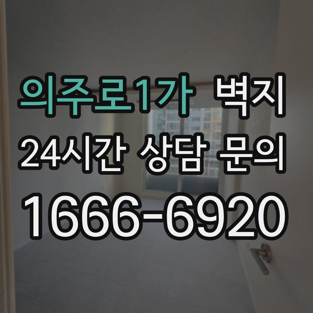 의주로1가 벽지