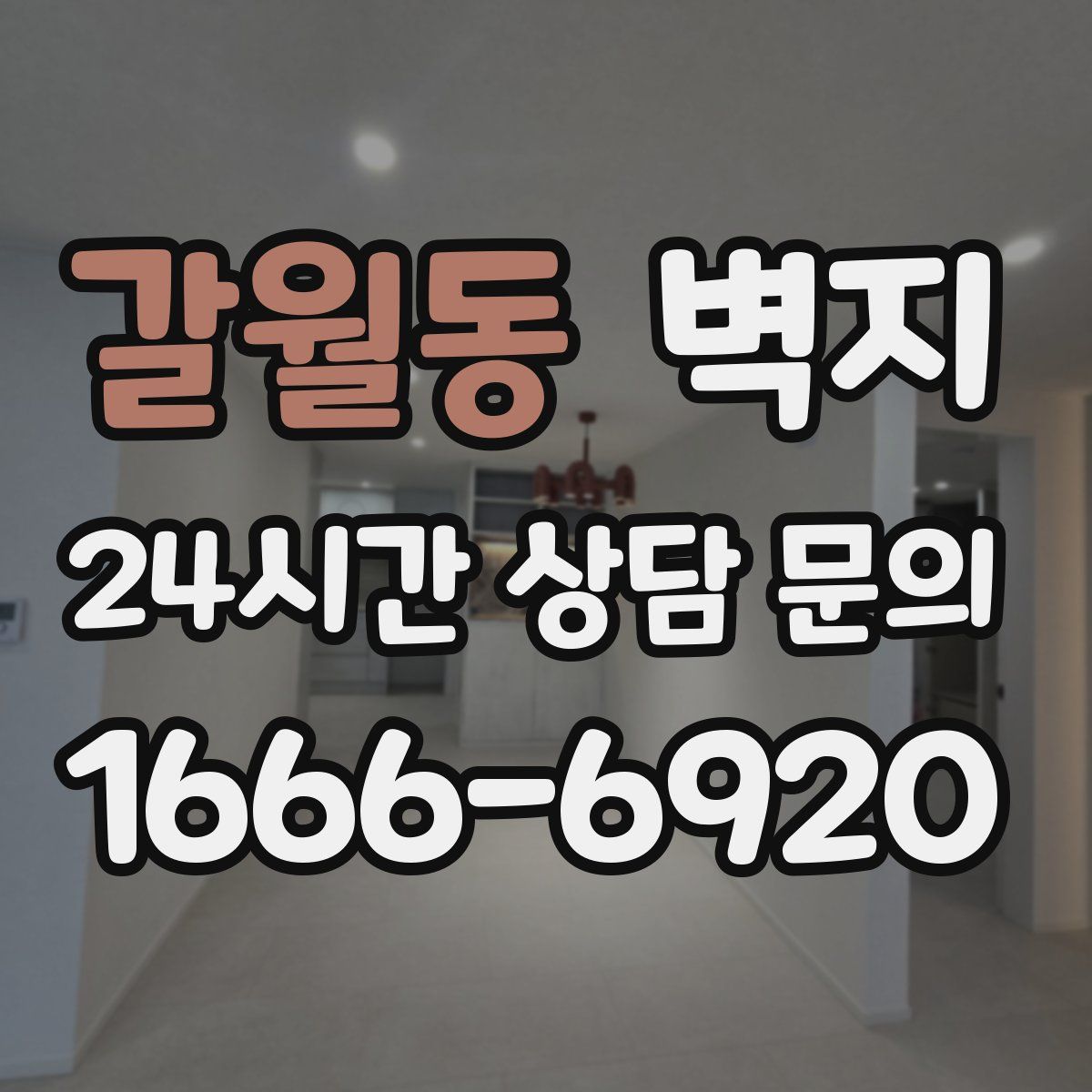 갈월동 벽지
