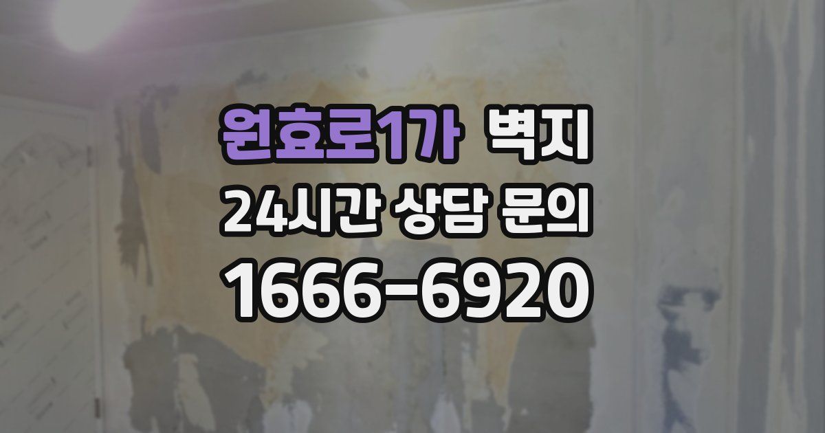 원효로1가 벽지