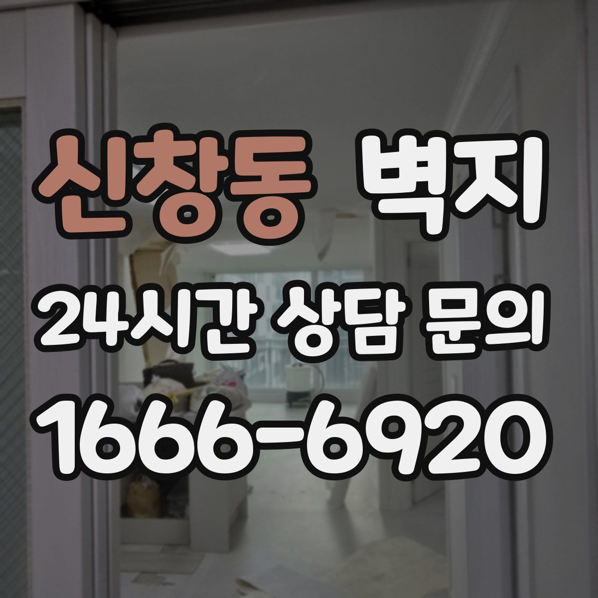신창동 벽지