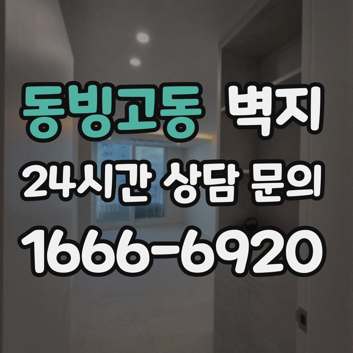 동빙고동 벽지