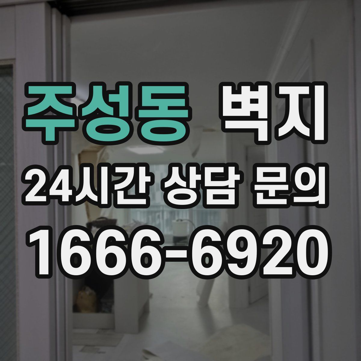 주성동 벽지