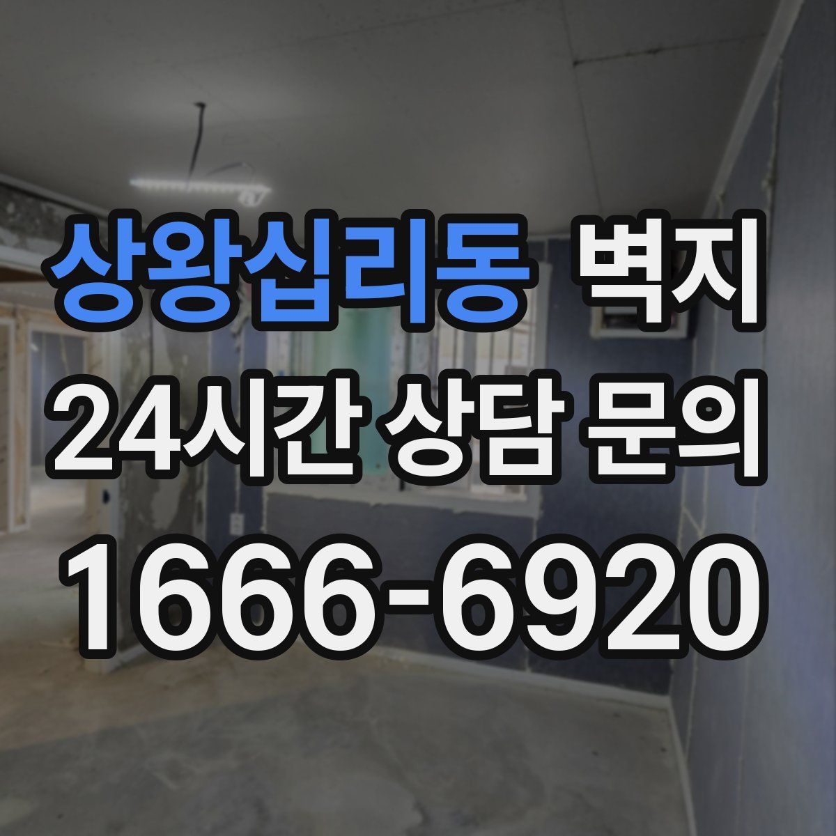 상왕십리동 벽지