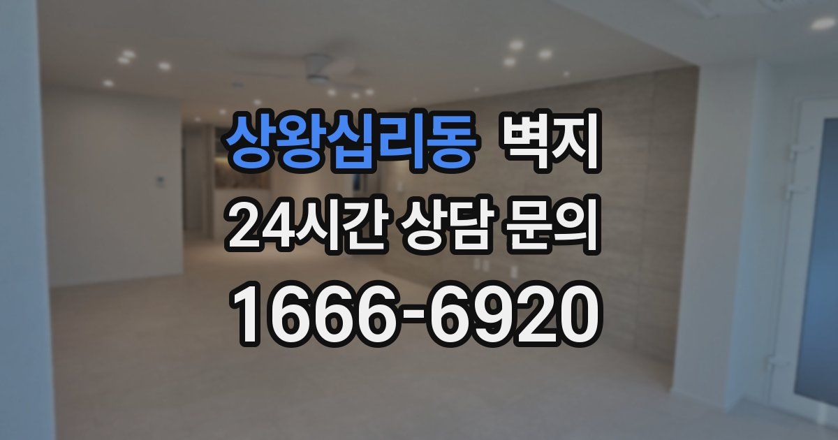 상왕십리동 벽지