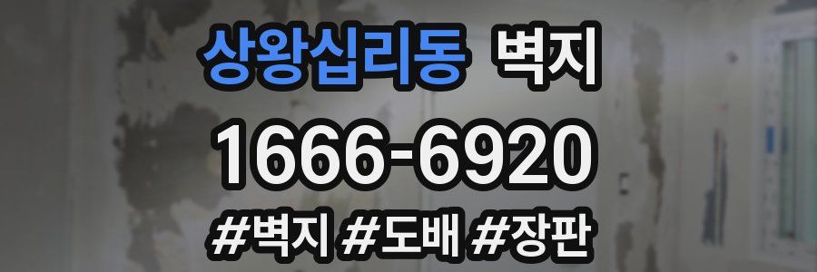 상왕십리동 벽지