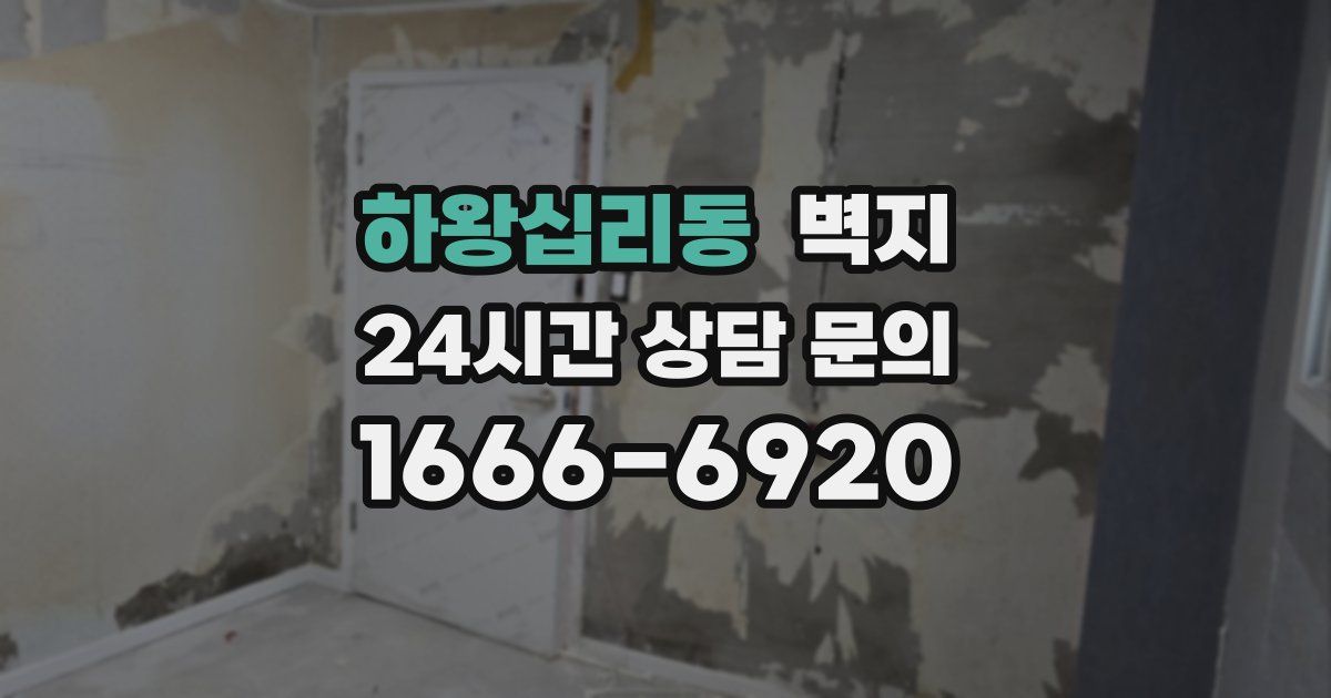 하왕십리동 벽지
