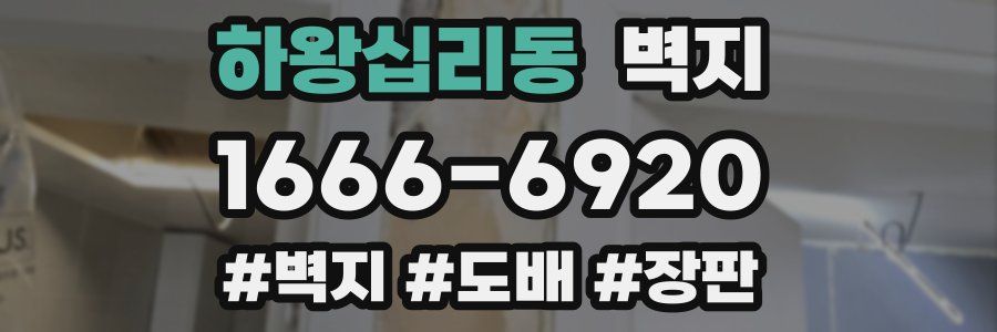 하왕십리동 벽지