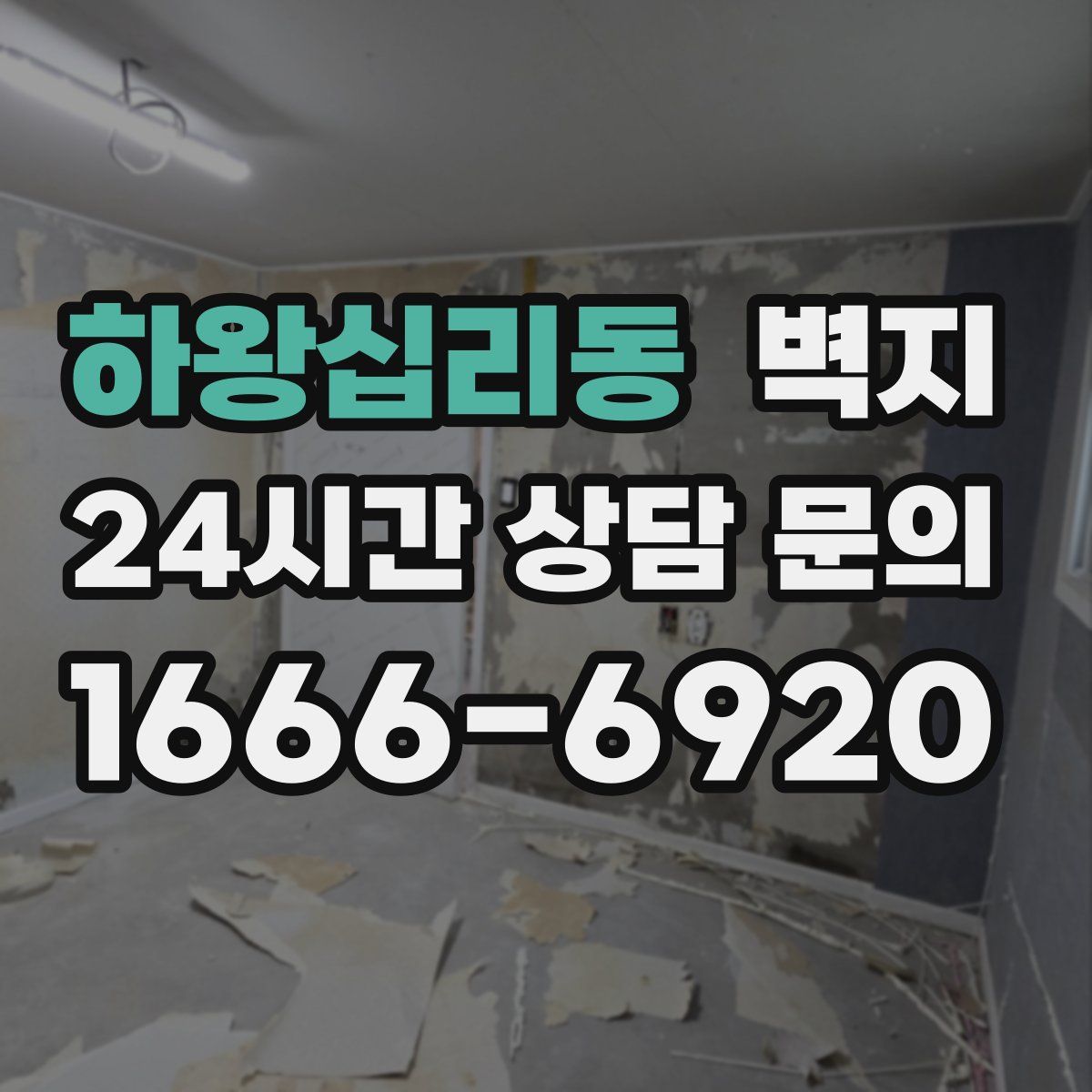 하왕십리동 벽지