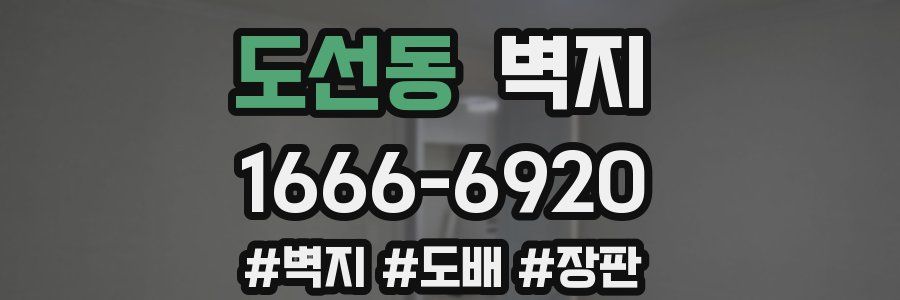 도선동 벽지