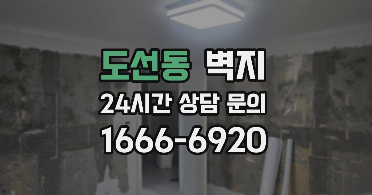 도선동 벽지