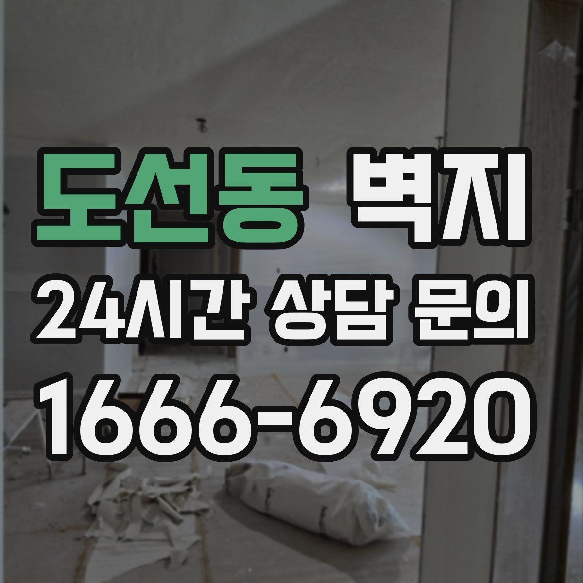도선동 벽지
