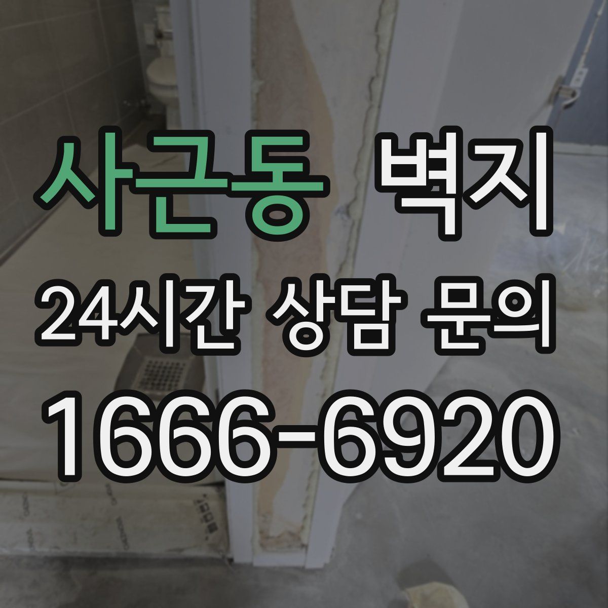 사근동 벽지