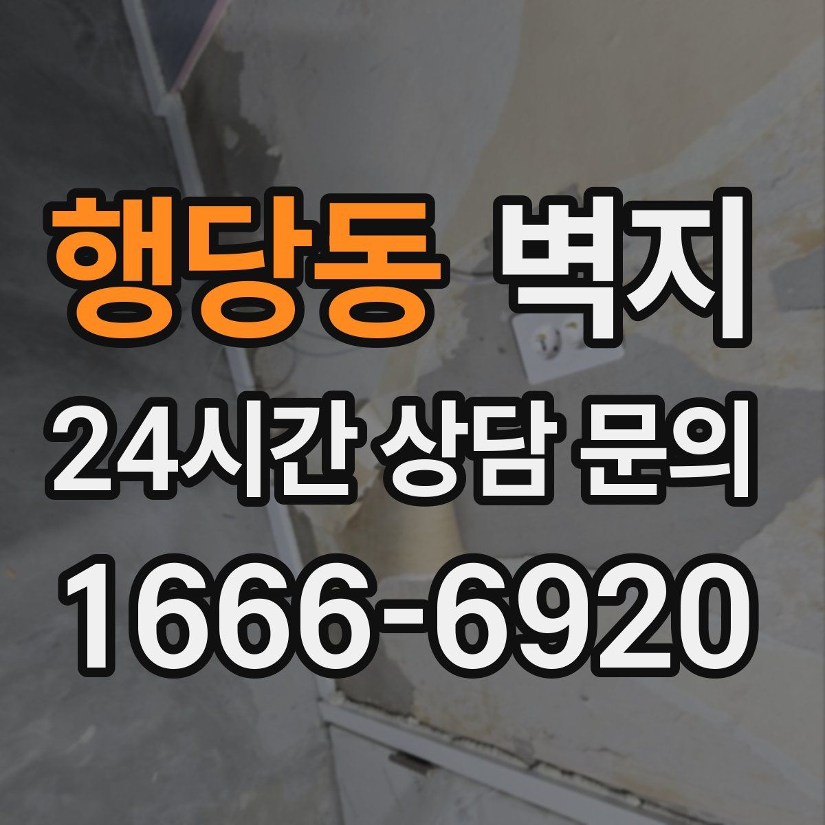 행당동 벽지