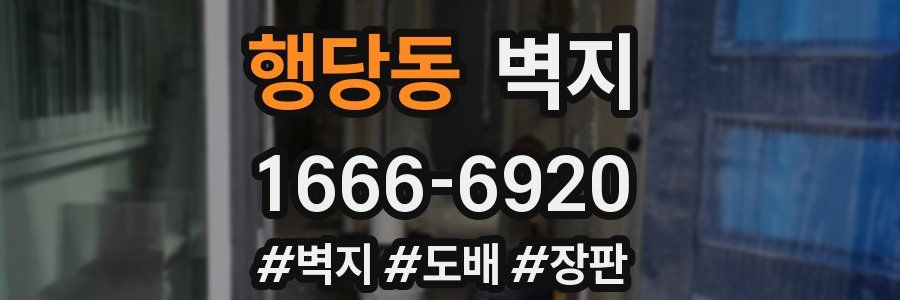 행당동 벽지