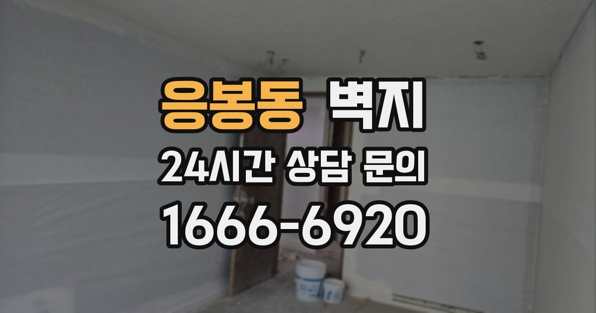 응봉동 벽지