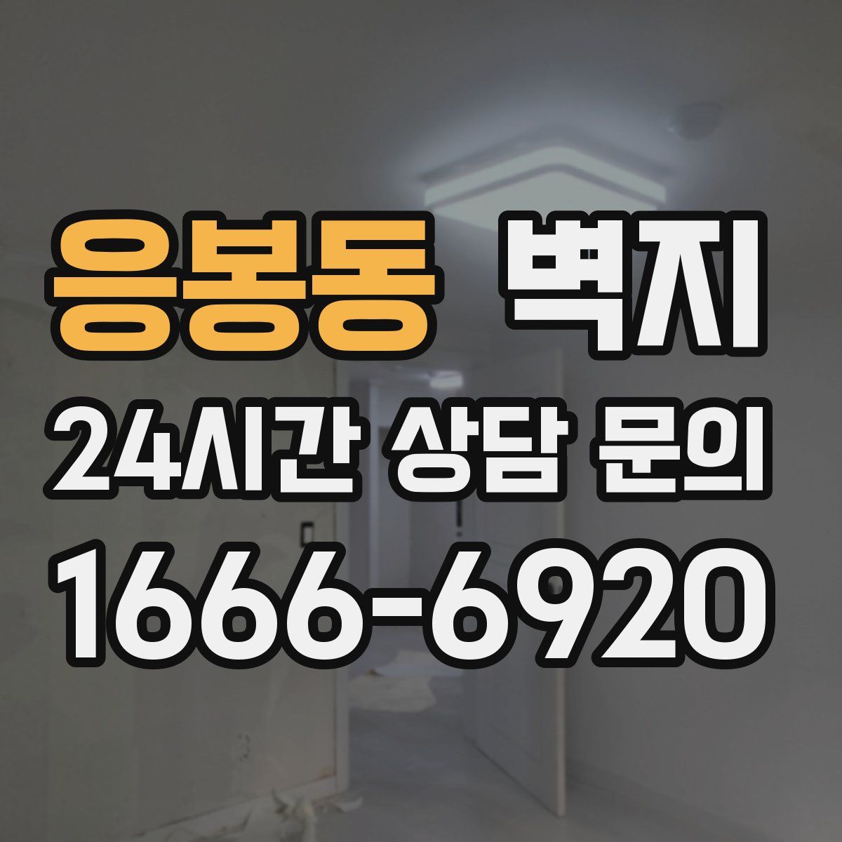 응봉동 벽지