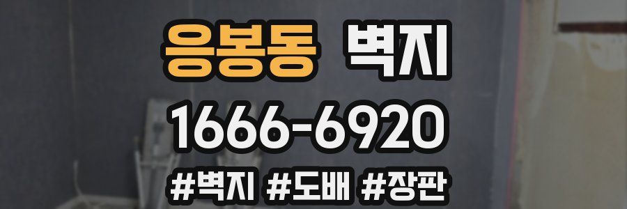 응봉동 벽지