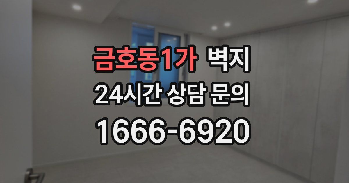 금호동1가 벽지