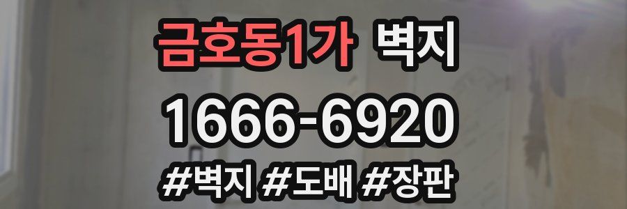 금호동1가 벽지