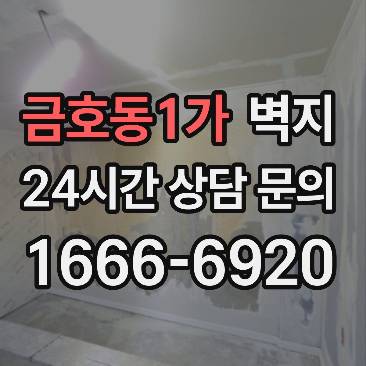 금호동1가 벽지