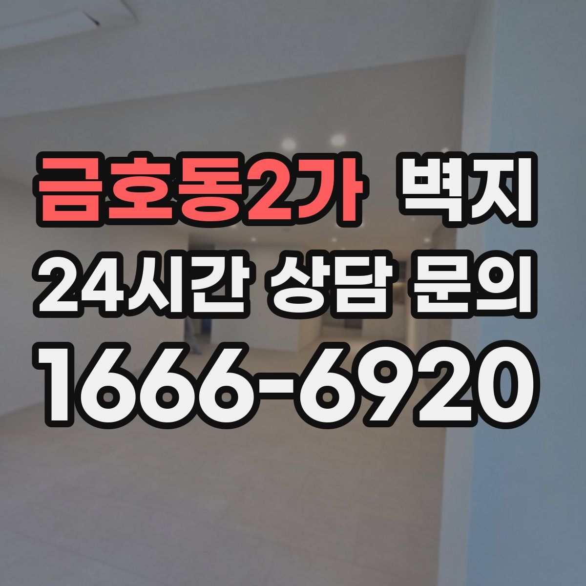 금호동2가 벽지