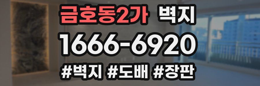 금호동2가 벽지