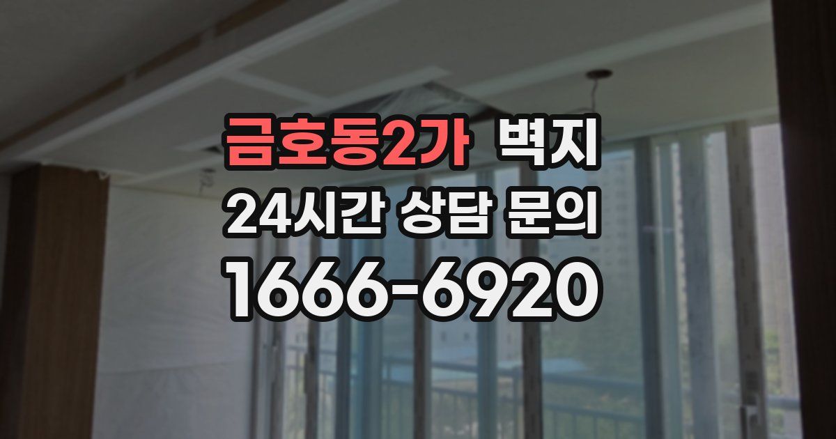 금호동2가 벽지