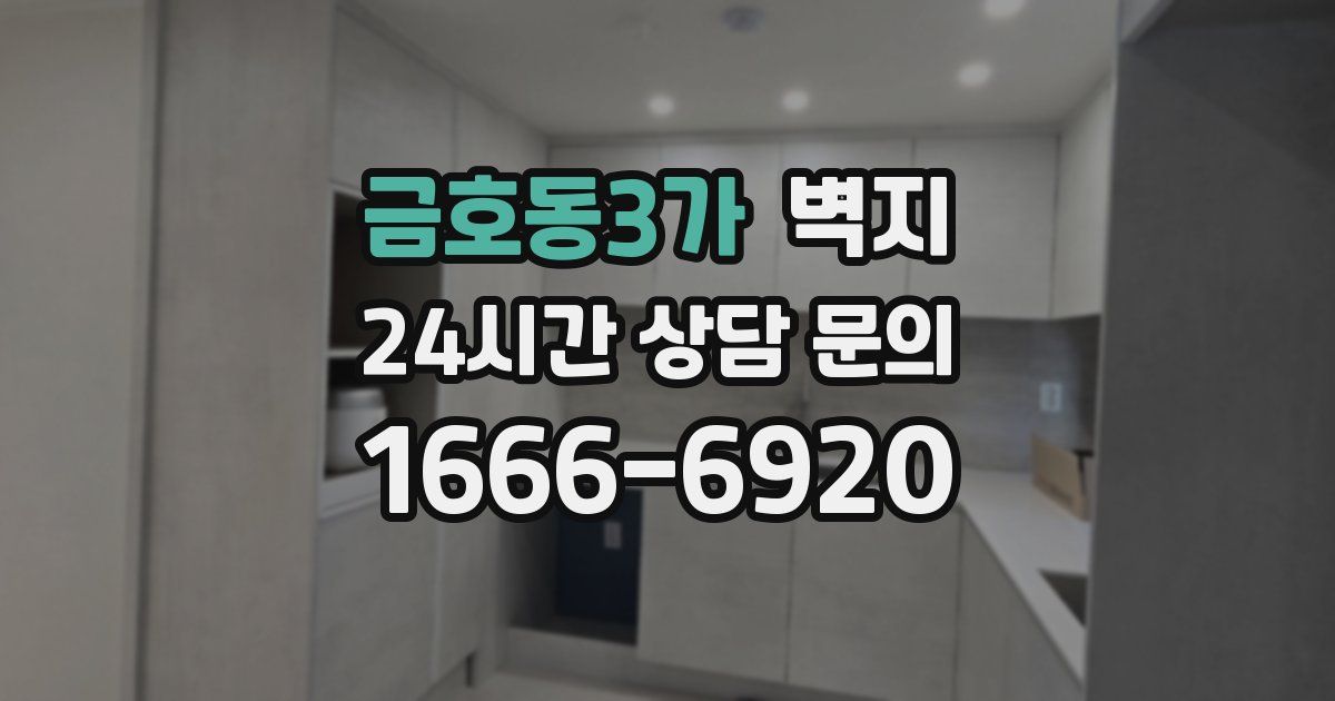 금호동3가 벽지