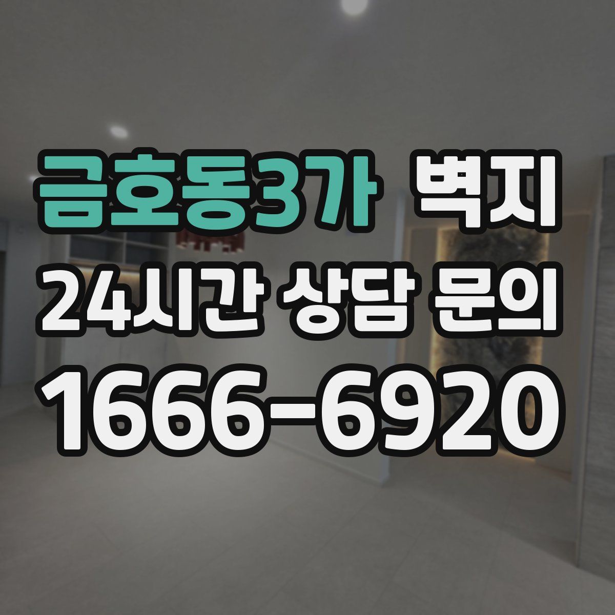 금호동3가 벽지