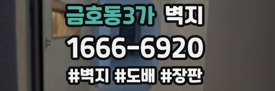 금호동3가 벽지