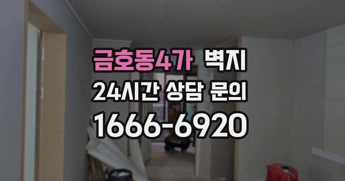 금호동4가 벽지
