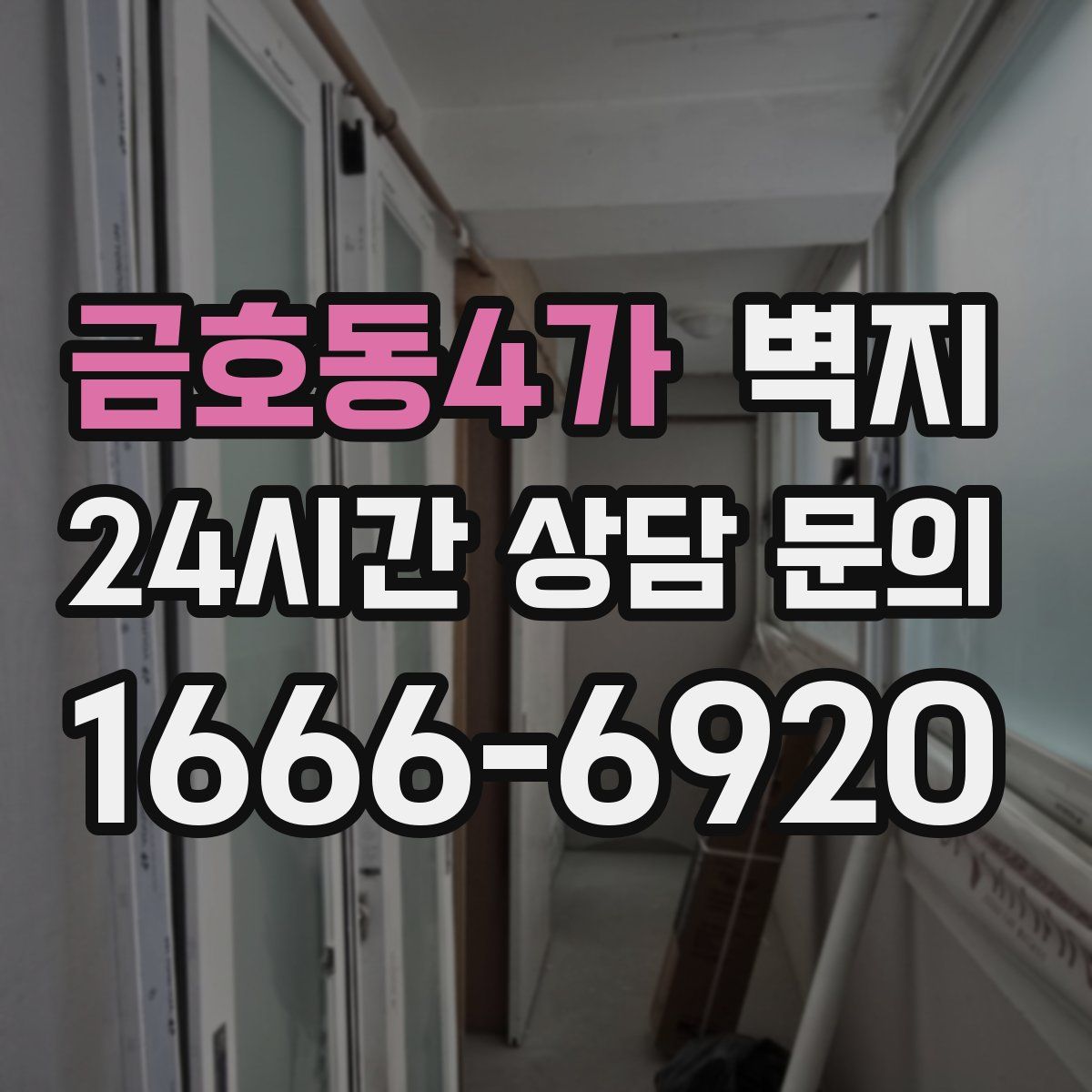 금호동4가 벽지