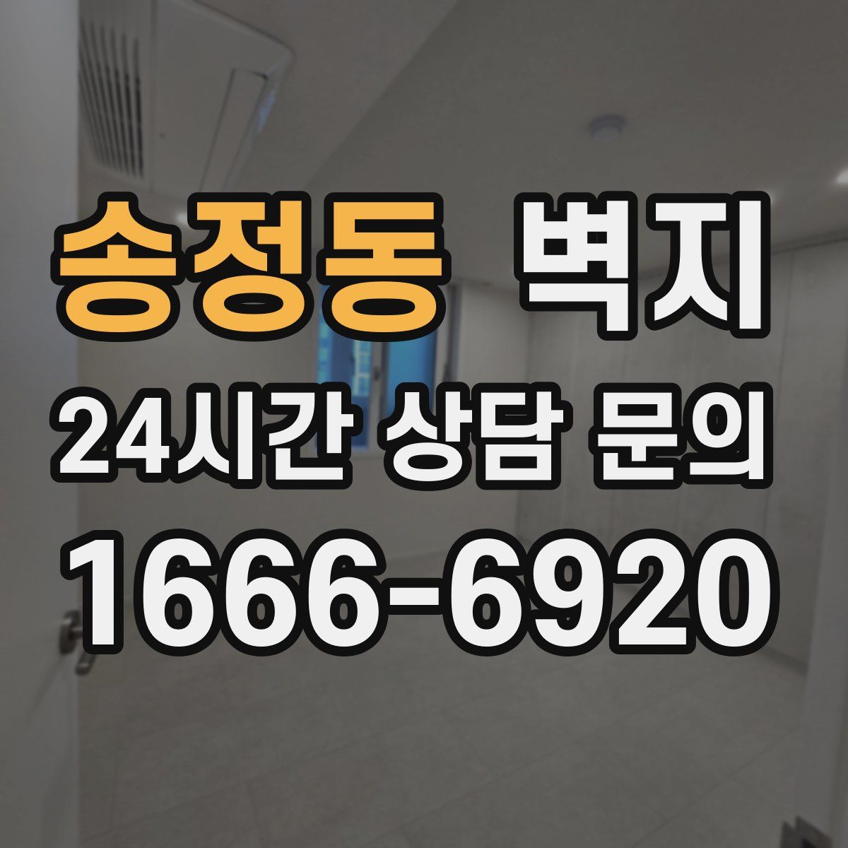 송정동 벽지