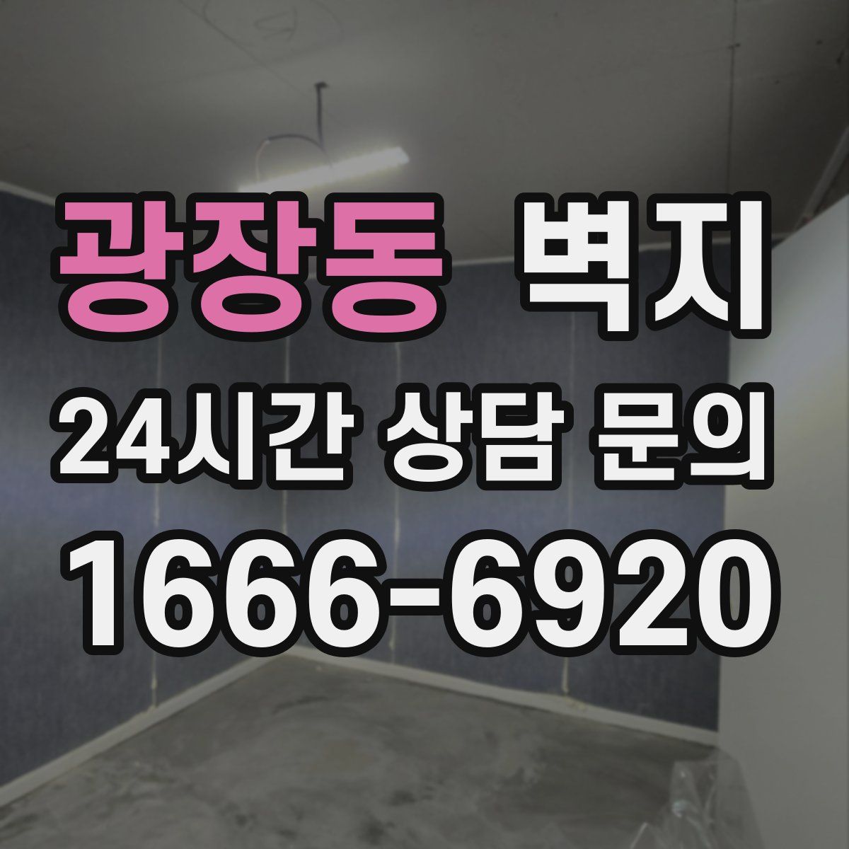 광장동 벽지