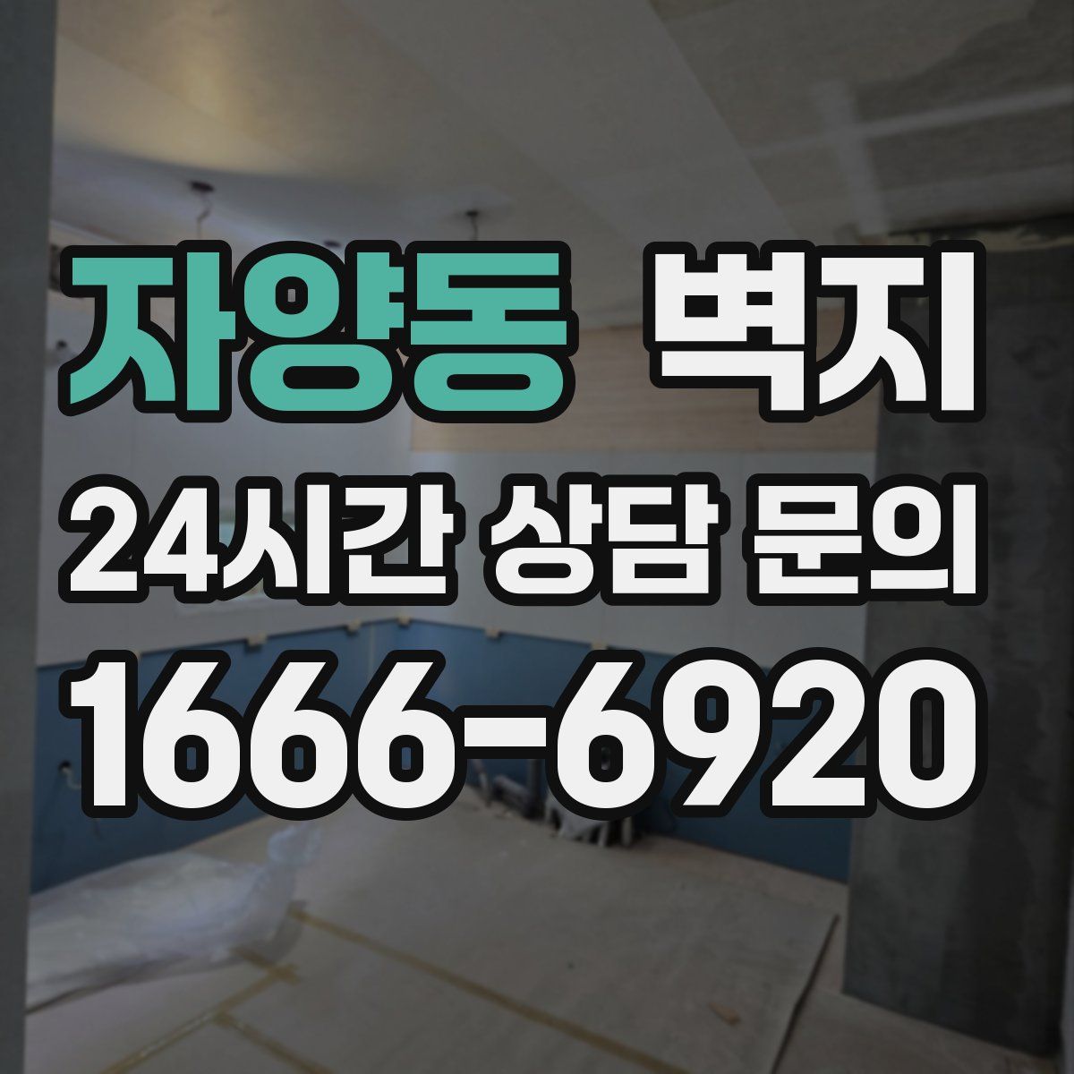 자양동 벽지