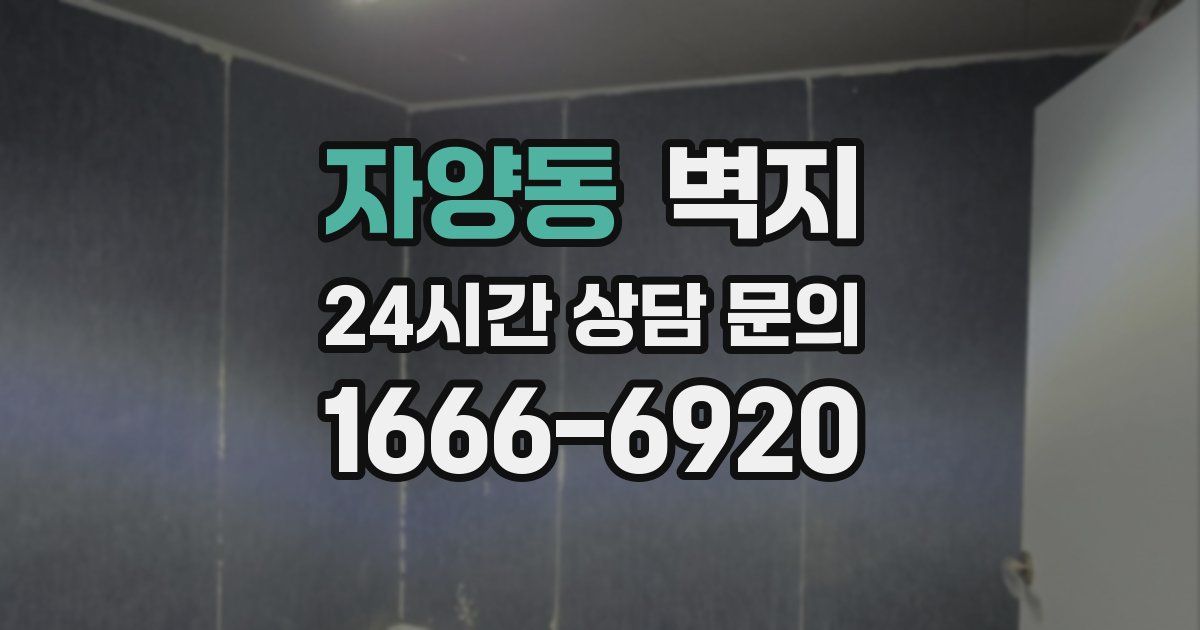 자양동 벽지