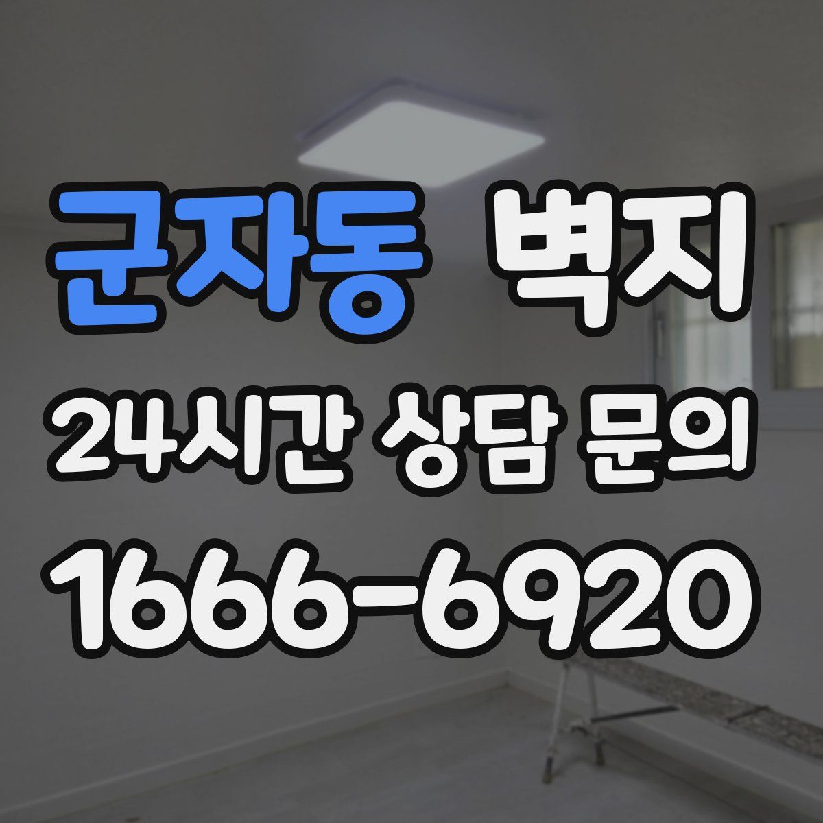 군자동 벽지