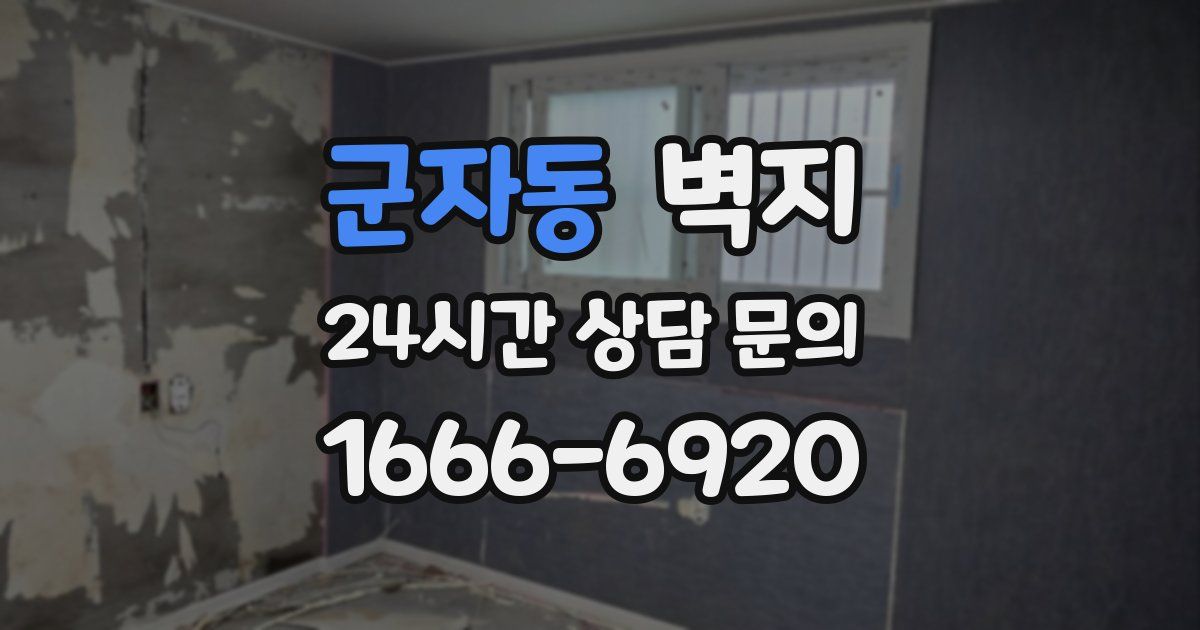 군자동 벽지