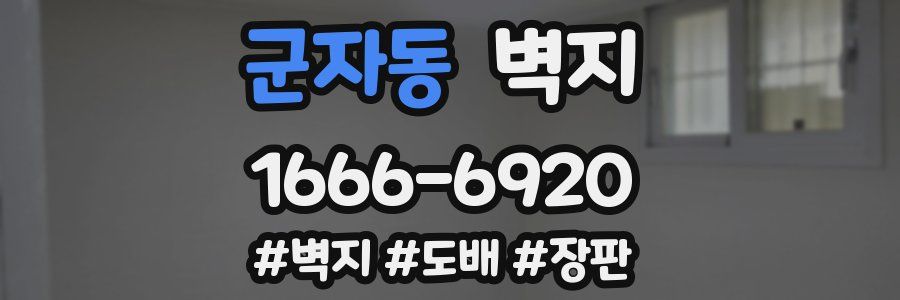 군자동 벽지