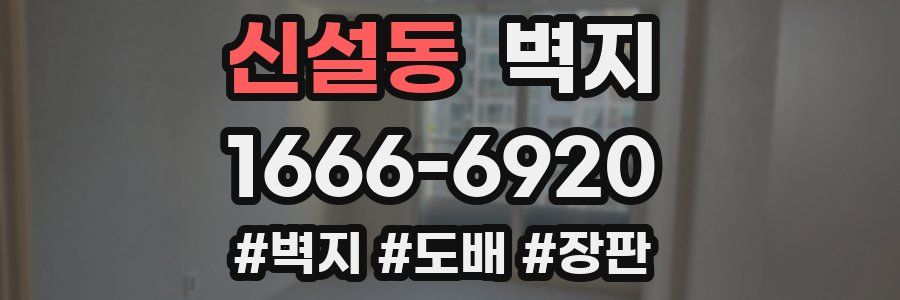 신설동 벽지