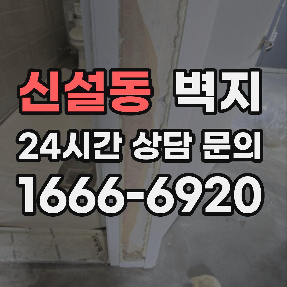 신설동 벽지