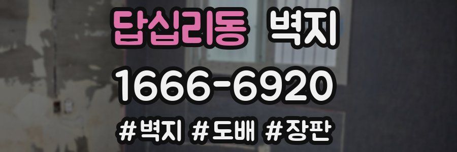 답십리동 벽지